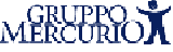 Gruppo Mercurio S.r.l. - Roma (RM)  